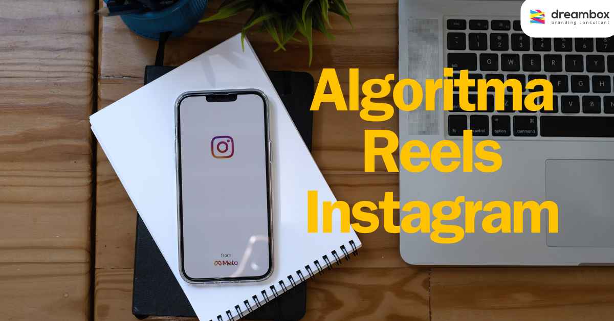 Algoritma-reels-instagram-dreambox